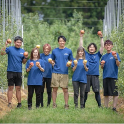 皮ごとバリッ!葉とらずサンふじ特A　約5kg(12～20個入り)