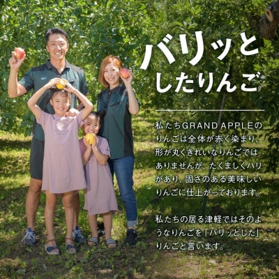 皮ごとバリッ!葉とらずサンふじ特A　約5kg(12～20個入り)
