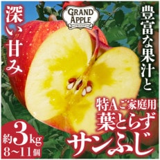 皮ごとバリッ!葉とらずサンふじ　特Aご家庭用 約3kg