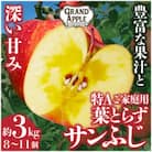 皮ごとバリッ!葉とらずサンふじ　特Aご家庭用 約3kg