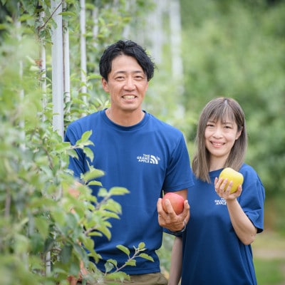 皮ごとバリッ!葉とらずサンふじ　特Aご家庭用 約3kg