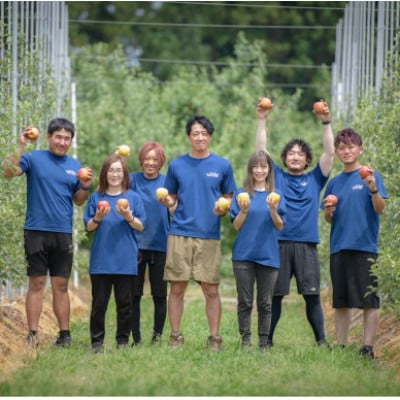 産地直送　葉とらずサンふじ　訳あり　約4kg