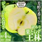 「王林」訳あり約4kg