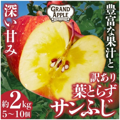 産地直送　葉とらずサンふじ　訳あり　約2kg