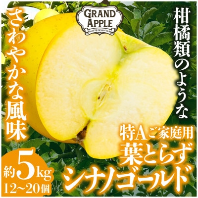 シナノゴールド　特Aご家庭用　約5kg(12～20個)