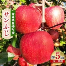 青森県藤崎町産りんご　完熟サンふじ　家庭用　約5kg | ふるさと納税のお礼品