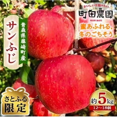 【完熟】蜜入り自然派りんご サンふじ 約5kg(家庭用)青森県藤崎町産【さとふる限定】