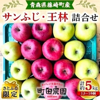 【さとふる限定】サンふじ・王林詰合せ　青森県藤崎町産りんご　家庭用　約5kg　
