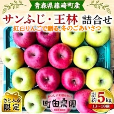 【年末ギフト】 紅白りんご サンふじ・王林 詰合せ 約5kg 青森県藤崎町産【さとふる限定】　