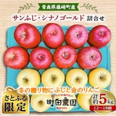 【冬の二色ギフト】完熟サンふじ・シナノゴールド詰合せ 約5kg 家庭用【さとふる限定】