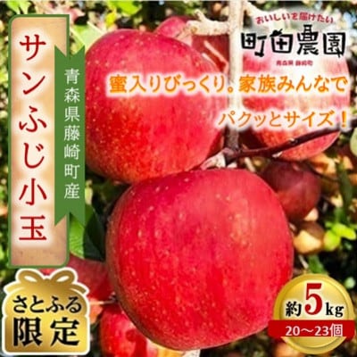 【駆け込み】サンふじ小玉　家庭用　約5kg　蜜入り保証ではないが「味」自身あり。【さとふる限定】