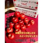 青森県藤崎町産りんご　紅玉　家庭用　約4kg【さとふる限定】