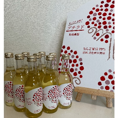 青森県産りんご ふじりんご果汁20%入り飲料(炭酸ガス入り) プチラド 10本セット