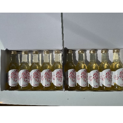 青森県産りんご ふじりんご果汁20%入り飲料(炭酸ガス入り) プチラド 10本セット