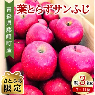 葉とらずサンふじ  家庭用　約3kg　藤崎町産りんご【さとふる限定】