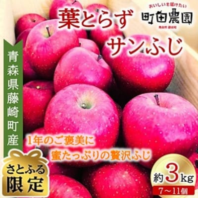 【年内発送】葉とらずサンふじ 約3kg(お試し家庭用)青森県藤崎町産【さとふる限定】　