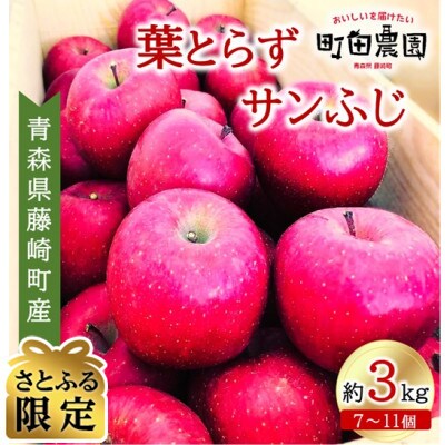【年末調整にぴったり】葉とらずサンふじ 約3kg(お試し家庭用)青森県藤崎町産【さとふる限定】　