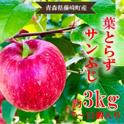 葉とらずサンふじ  家庭用　約3kg　藤崎町産りんご【さとふる限定】