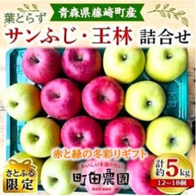 【人気2種セット】葉とらずサンふじ・王林詰合せ 家庭用 約5kg 青森県藤崎町産【さとふる限定】