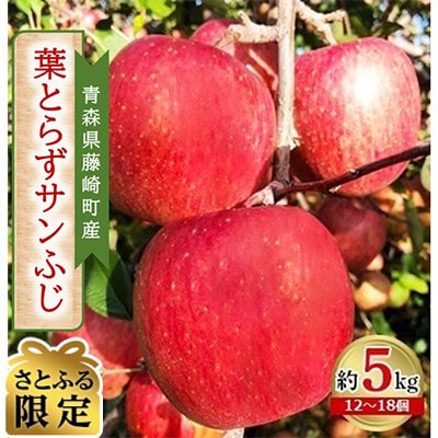 青森県藤崎町産りんご 葉とらずサンふじ 家庭用 約5kg