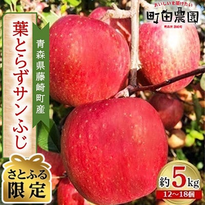 【さとふる限定】青森県藤崎町産りんご 葉とらずサンふじ 家庭用 約5kg