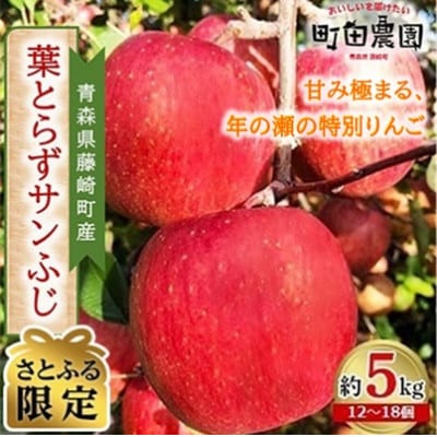 【冬ギフト】葉とらずサンふじ 約5kg (家庭用)青森県藤崎町産【さとふる限定】