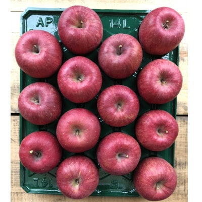 青森県藤崎町産りんご 葉とらずサンふじ 家庭用 約5kg