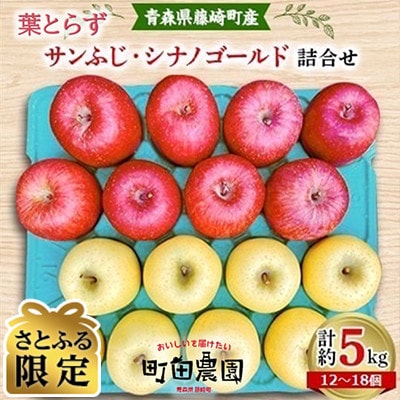 【さとふる限定】葉とらずサンふじ・シナノゴールド詰め合せ 青森県藤崎町産りんご 家庭用 計約5kg