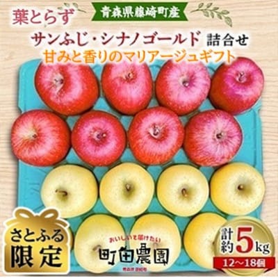 【旬の味わい詰合せ】葉とらずサンふじ・シナノゴールド 家庭用 約5kg【さとふる限定】