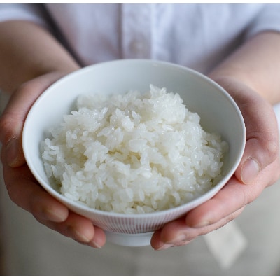 青森県産　つがるロマン(一等米)白米10kg