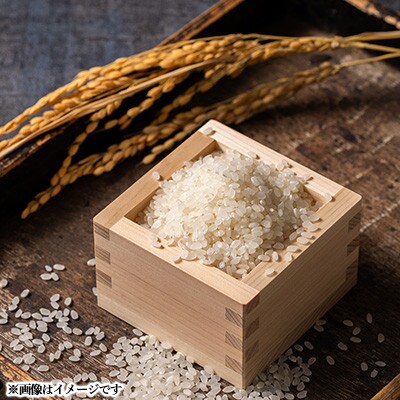 【毎月定期便】青森県産 まっしぐら 白米 10kg【青森米】全6回