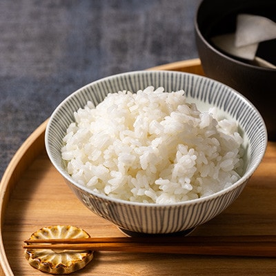 【毎月定期便】青森県産 まっしぐら 白米 10kg【青森米】全6回