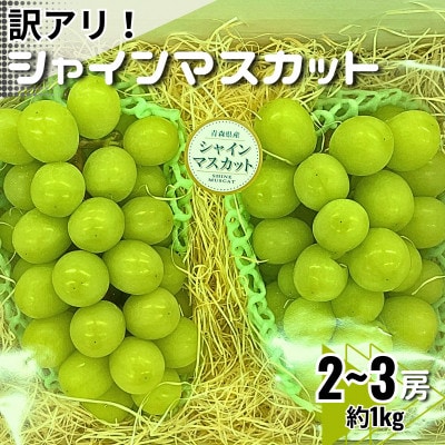 【訳あり】シャインマスカット2～3房　約1kg
