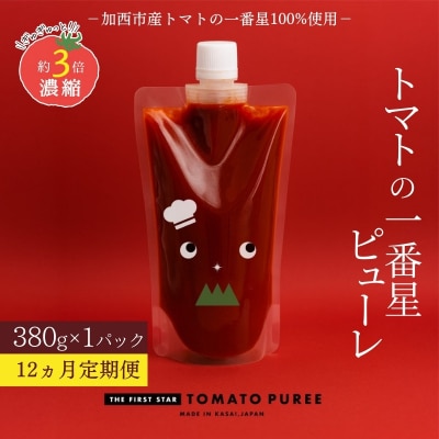 定期便 12ヶ月 トマトピューレ 380g×1本[No5698-1659]