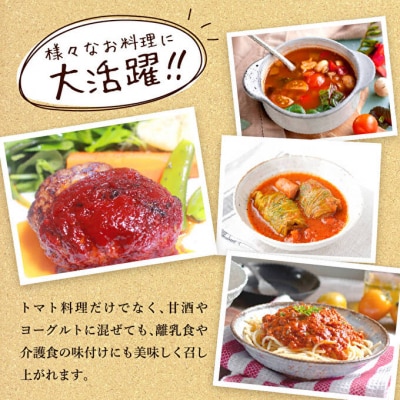 定期便 12ヶ月 トマトピューレ 380g×1本[No5698-1659]