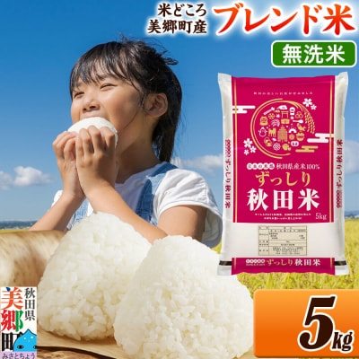 ブレンド米【無洗米】精米 5kg(5kg×1袋)|01_ssn-010501m