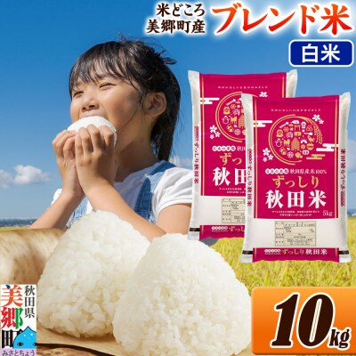 米 ブレンド米【白米】精米 10kg(5kg×2袋)|01_ssn-011001h