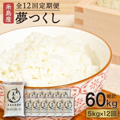 【全12回定期便】夢つくし5kg×12回 糸島王丸農園(谷口汰一)【いとしまごころ】[AAZ004]