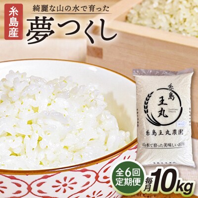 【全6回定期便】夢つくし10kg×6回 糸島王丸農園(谷口汰一)【いとしまごころ】[AAZ007]