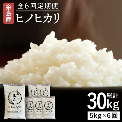 【全6回定期便】ヒノヒカリ 5kg×6回 糸島王丸農園(谷口汰一)【いとしまごころ】[AAZ012]