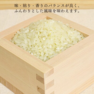 【全6回定期便】ヒノヒカリ 5kg×6回 糸島王丸農園(谷口汰一)【いとしまごころ】[AAZ012]