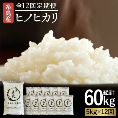 【全12回定期便】ヒノヒカリ5kg×12回糸島王丸農園(谷口汰一)【いとしまごころ】[AAZ013]