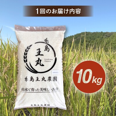 【全6回定期便】ヒノヒカリ10kg×6回 糸島王丸農園(谷口汰一)【いとしまごころ】[AAZ016]