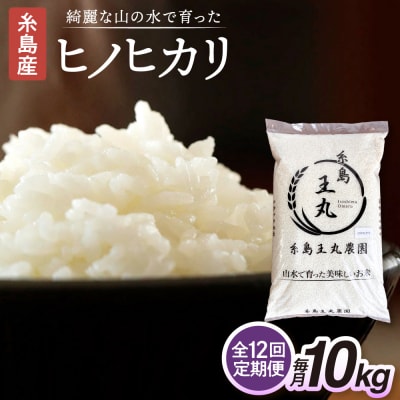 【全12回定期便】ヒノヒカリ10kg×12回 糸島王丸農園【いとしまごころ】[AAZ017]