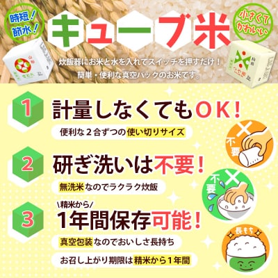 【令和8年産】山形産 無洗米キューブ米つや姫300g×20個 FY26-239