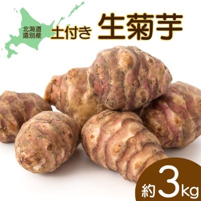 【北海道　遠別町産】土付き菊芋(赤) 約3kg　イヌリンが豊富!生食可能なスーパーフード