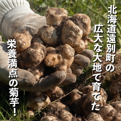 【北海道　遠別町産】土付き菊芋(赤) 約3kg　イヌリンが豊富!生食可能なスーパーフード