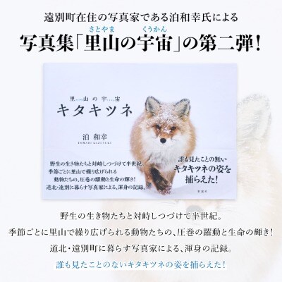 【野生塾】里山の宇宙(さとやまのくうかん)　キタキツネ【泊和幸　野生塾】