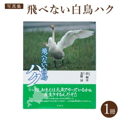 【写真集】飛べない白鳥ハク　彩流社　【野生塾　泊和幸】