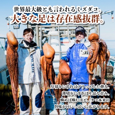 【正規品】極肉厚　煮だこ1本足セット(約1.5kg)　刺身用　ミズダコ　大容量　国産　北海道産